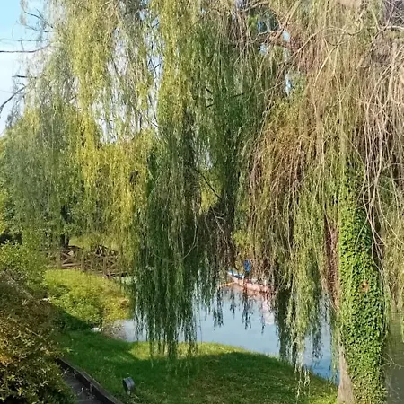 Riviera Naviglio Venezia * Vigonovo (Veneto)